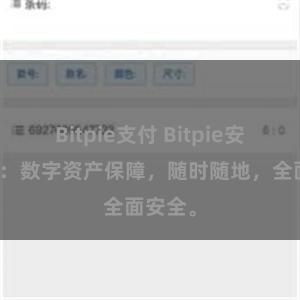 Bitpie支付 Bitpie安全钱包:数字资产保障,随时随地,全面安全。