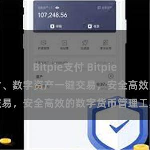 Bitpie支付 Bitpie轻钱包:购物支付、数字资产一键交易,安全高效的数字货币管理工具