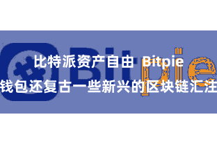 比特派资产自由 Bitpie钱包还复古一些新兴的区块链汇注