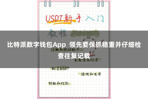 比特派数字钱包App 领先要保抓稳重并仔细检查往复记载