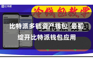 比特派多链资产钱包 最初绽开比特派钱包应用
