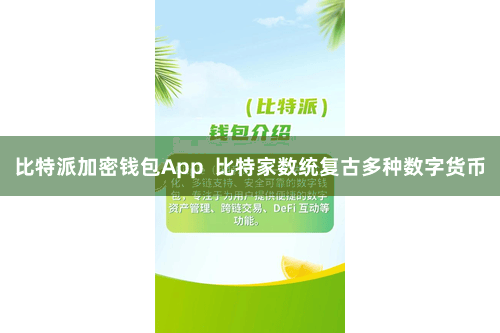 比特派加密钱包App 比特家数统复古多种数字货币