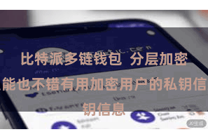 比特派多链钱包 分层加密技能也不错有用加密用户的私钥信息