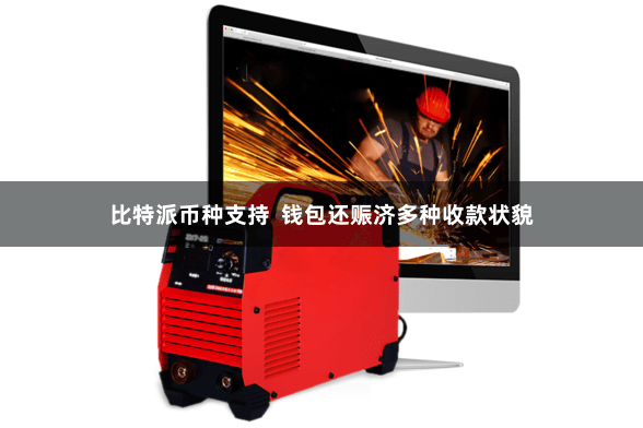 比特派币种支持 钱包还赈济多种收款状貌