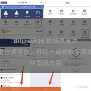 Bitpie支持 比特派全功能：聚合多平台，打造一站式数字资讯生活