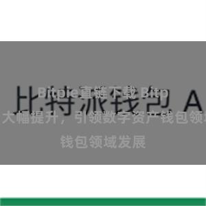 Bitpie直链下载 Bitpie排名大幅提升，引领数字资产钱包领域发展