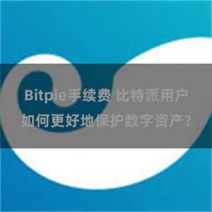 Bitpie手续费 比特派用户如何更好地保护数字资产？