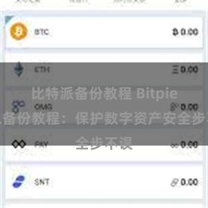 比特派备份教程 Bitpie钱包备份教程：保护数字资产安全步不误