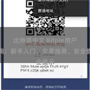 比特派中文 Bitpie用户指南：新手入门、交易指南、安全提示