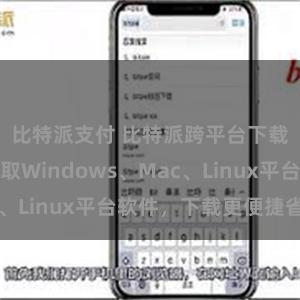 比特派支付 比特派跨平台下载：一键获取Windows、Mac、Linux平台软件，下载更便捷省心