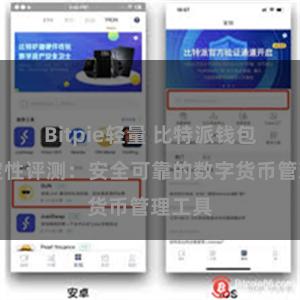 Bitpie轻量 比特派钱包的稳定性评测：安全可靠的数字货币管理工具