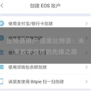 比特派用户 探索比特派：未来数字货币的先锋之路