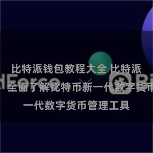 比特派钱包教程大全 比特派钱包下载，全面了解比特币新一代数字货币管理工具