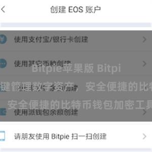 Bitpie苹果版 Bitpie安卓版下载，一键管理数字资产，安全便捷的比特币钱包加密工具