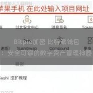 Bitpie加密 比特派钱包：安全可靠的数字资产管理神器