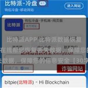 比特派APP 比特派数据恢复专家，24小时在线帮您恢复丢失数据，保障您的信息安全【30字】