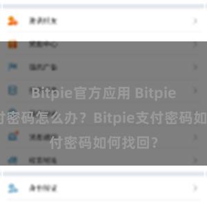 Bitpie官方应用 Bitpie忘记支付密码怎么办？Bitpie支付密码如何找回？
