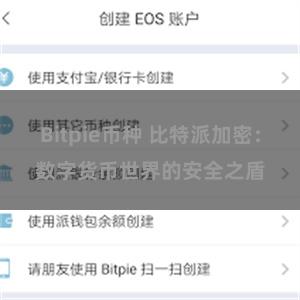 Bitpie币种 比特派加密：数字货币世界的安全之盾