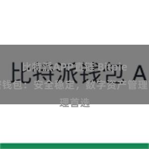 比特派APP直链 Bitpie加密钱包：安全稳定，数字资产管理首选