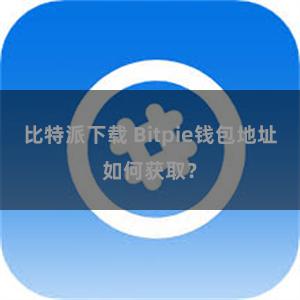 比特派下载 Bitpie钱包地址如何获取？