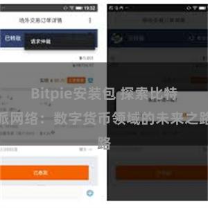 Bitpie安装包 探索比特派网络：数字货币领域的未来之路
