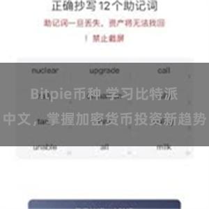 Bitpie币种 学习比特派中文，掌握加密货币投资新趋势