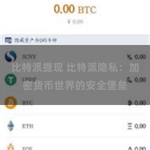 比特派提现 比特派隐私：加密货币世界的安全堡垒