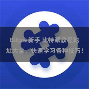 Bitpie新手 比特派教程地址大全，快速学习各种技巧！