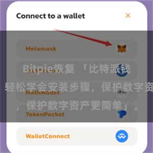 Bitpie恢复 「比特派钱包安装指南：轻松学会安装步骤，保护数字资产更简单」。