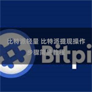 比特派轻量 比特派提现操作步骤简易教程
