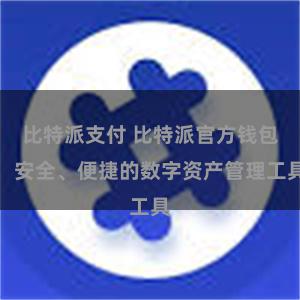 比特派支付 比特派官方钱包：安全、便捷的数字资产管理工具