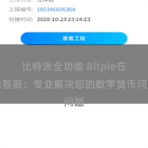 比特派全功能 Bitpie在线客服：专业解决您的数字货币问题