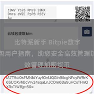 比特派新手 Bitpie数字资产钱包用户指南，助您安全高效管理加密货币