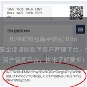 比特派钱包新手教程 Bitpie官网推荐，安全便捷的数字资产管理平台，快来了解更多！