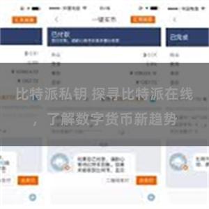 比特派私钥 探寻比特派在线，了解数字货币新趋势