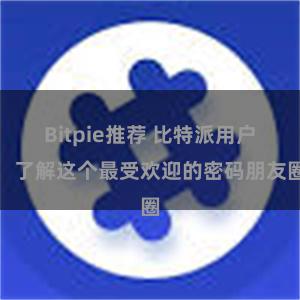 Bitpie推荐 比特派用户：了解这个最受欢迎的密码朋友圈