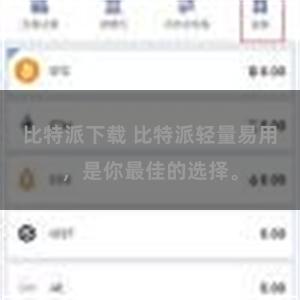 比特派下载 比特派轻量易用，是你最佳的选择。