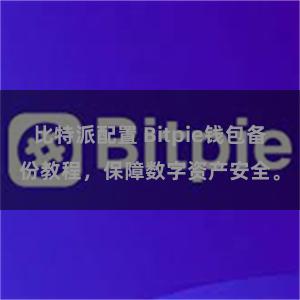 比特派配置 Bitpie钱包备份教程，保障数字资产安全。