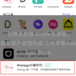 比特派教程 Bitpie苹果版：区块链数字资产管理利器 上线苹果App Store