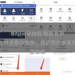 Bitpie轻钱包 简单易用的比特派备份软件，保护您的重要数据