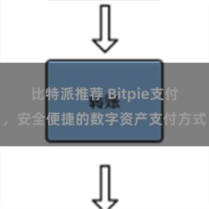 比特派推荐 Bitpie支付，安全便捷的数字资产支付方式