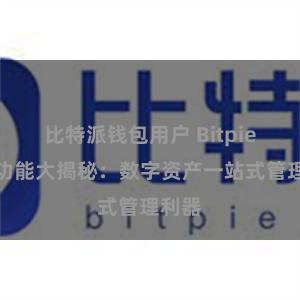 比特派钱包用户 Bitpie钱包功能大揭秘：数字资产一站式管理利器