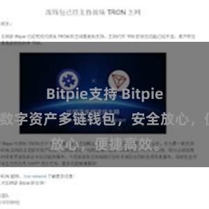 Bitpie支持 Bitpie国际版:数字资产多链钱包,安全放心,便捷高效。