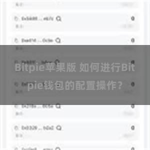 Bitpie苹果版 如何进行Bitpie钱包的配置操作?