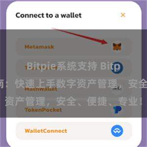 Bitpie系统支持 Bitpie钱包新手指南：快速上手数字资产管理，安全、便捷、专业！