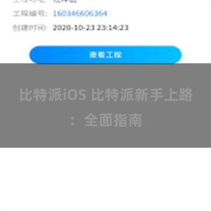 比特派iOS 比特派新手上路:全面指南