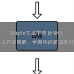 Bitpie安卓下载 比特派发布最新版,全新功能震撼推出