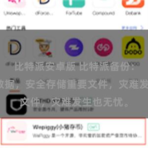 比特派安卓版 比特派备份:轻松保护数据,安全存储重要文件,灾难发生也无忧。
