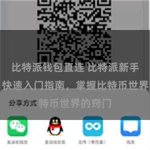 比特派钱包直连 比特派新手必读:快速入门指南,掌握比特币世界的窍门