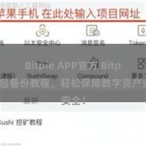 Bitpie APP官方 Bitpie钱包备份教程,轻松保障数字资产安全!